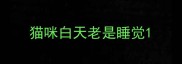 猫咪白天老是睡觉