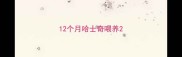 12个月哈士奇喂养