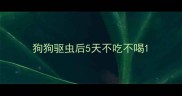 狗狗驱虫后5天不吃不喝