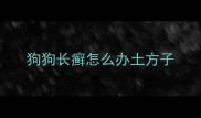 狗狗长癣怎么办土方子