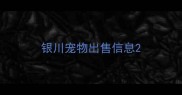 银川宠物出售信息
