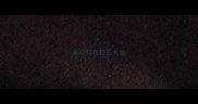 廊坊拉布拉多犬舍