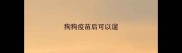 狗狗疫苗后可以遛