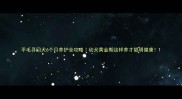 平毛寻回犬6个月养护全攻略幼犬黄金期这样养才聪明健康