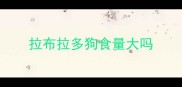 拉布拉多狗食量大吗
