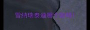 雪纳瑞泰迪哪个聪明