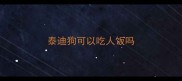 泰迪狗可以吃人饭吗