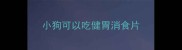 小狗可以吃健胃消食片