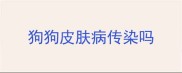 狗狗皮肤病传染吗