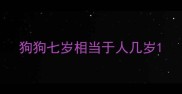 狗狗七岁相当于人几岁