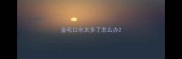 金毛口水太多了怎么办