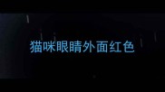 猫咪眼睛外面红色