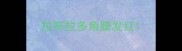 拉布拉多角膜发红