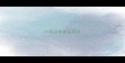小狗没有食欲呕吐