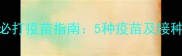 老年宠物必打疫苗指南5种疫苗及接种注意事项