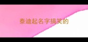 泰迪起名字搞笑的