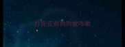 打完疫苗狗狗就咳嗽