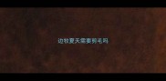 边牧夏天需要剪毛吗