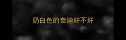 奶白色的泰迪好不好