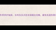 冬季养护指南拉布拉多犬防冻保暖全攻略避免低温伤害