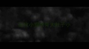 边牧小狗肋骨大肚子小