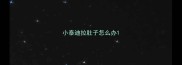 小泰迪拉肚子怎么办