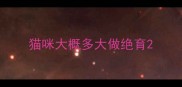 猫咪大概多大做绝育