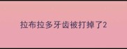 拉布拉多牙齿被打掉了