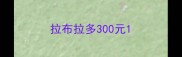 拉布拉多300元