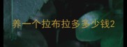 养一个拉布拉多多少钱