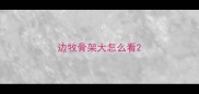 边牧骨架大怎么看