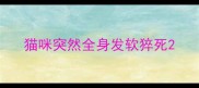 猫咪突然全身发软猝死