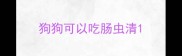 狗狗可以吃肠虫清