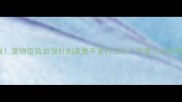 必看宠物疫苗加强针到底要不要打三针养宠人必存攻略