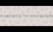 猫咪吐舌头睡觉是生病了吗新手养猫必看健康指南