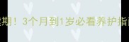 京巴幼犬成长关键期3个月到1岁必看养护指南附科学喂养表