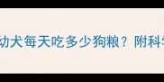 四个月金毛幼犬每天吃多少狗粮附科学喂养指南