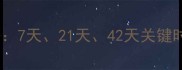 狗狗疫苗接种全攻略7天21天42天关键时间节点与注意事项