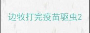 边牧打完疫苗驱虫