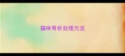 猫咪骨折处理方法