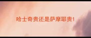 哈士奇贵还是萨摩耶贵