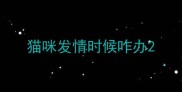 猫咪发情时候咋办