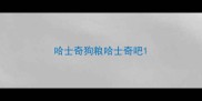 哈士奇狗粮哈士奇吧