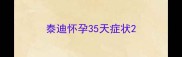 泰迪怀孕35天症状