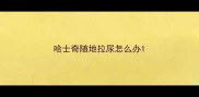 哈士奇随地拉尿怎么办