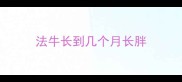 法牛长到几个月长胖