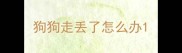 狗狗走丢了怎么办