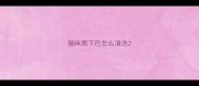 猫咪黑下巴怎么清洗