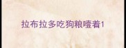 拉布拉多吃狗粮噎着