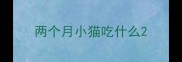 两个月小猫吃什么